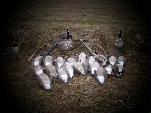 Web-Foot Mafia Watefowl, LLC-VA Waterfowl Hunts