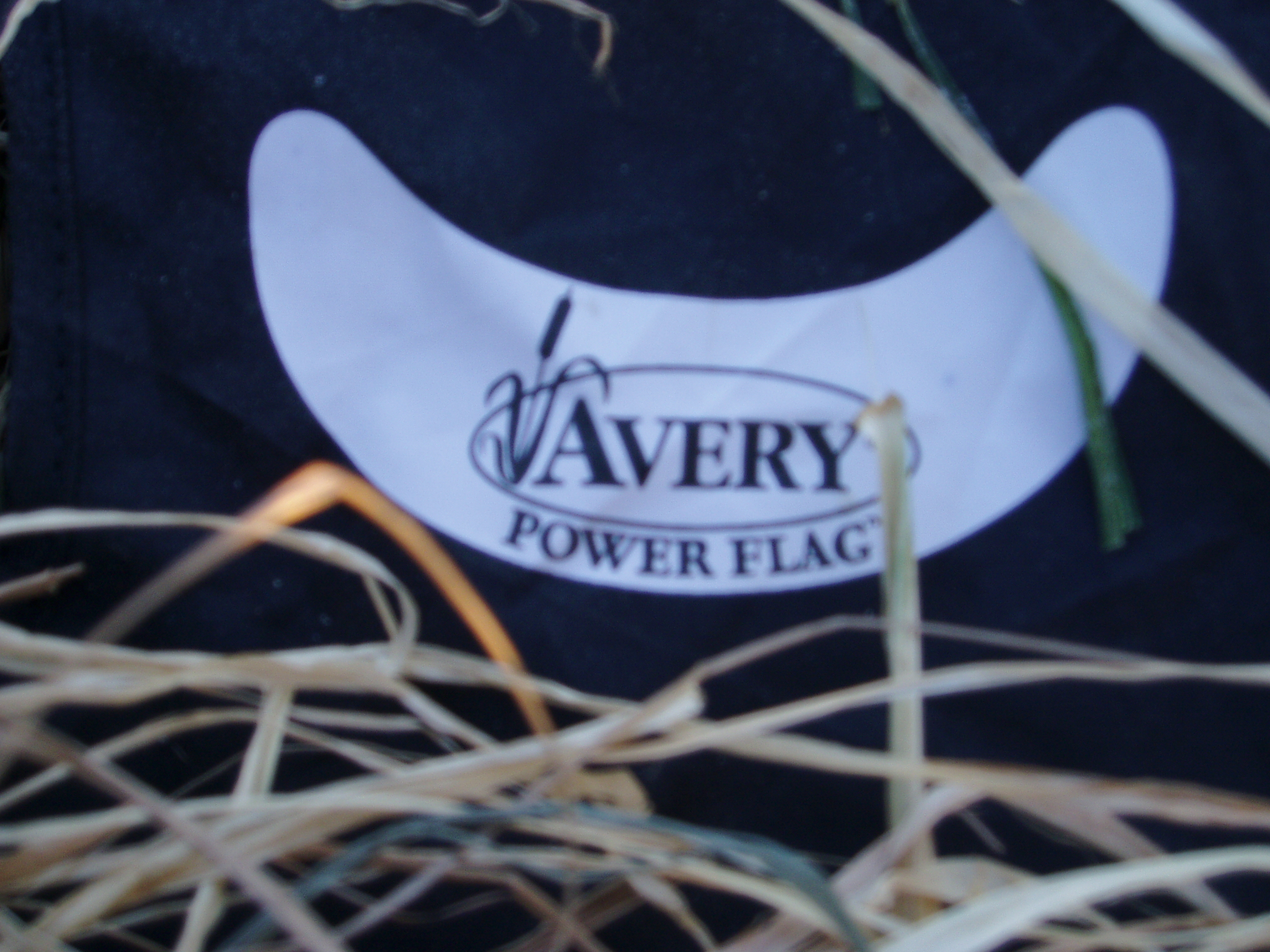 Avery Flag