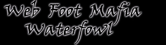 frontlogoshuttheflockupblack.jpg