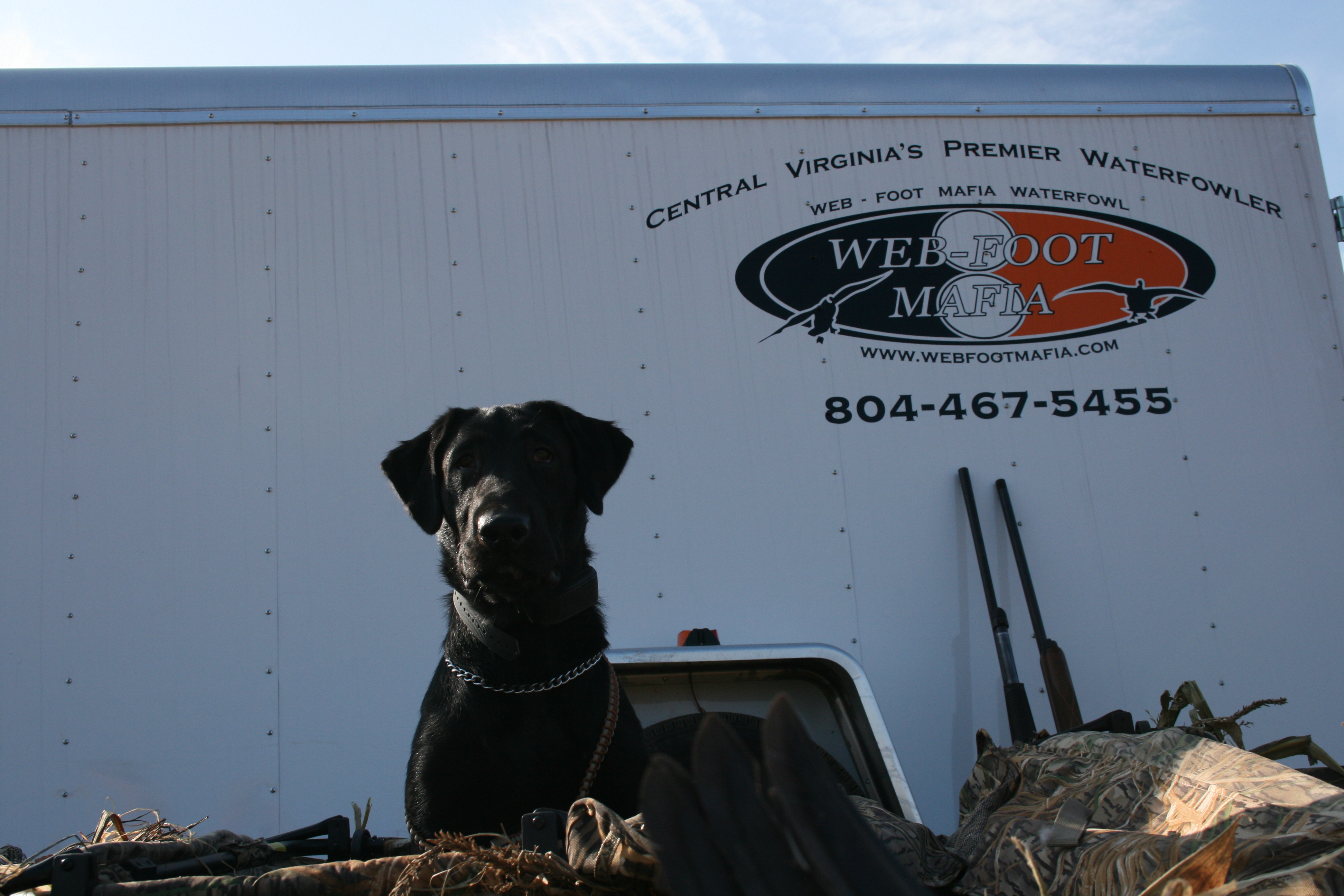 Web-Foot Mafia Waterfowl, LLC-VA Waterfowl Hunts